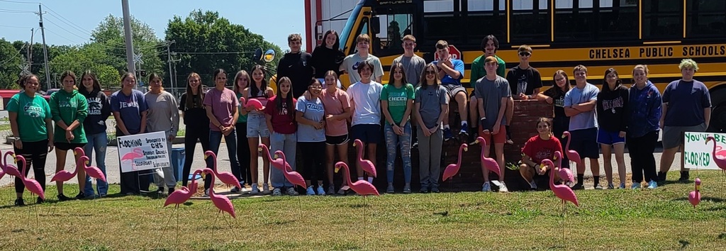 Stu-co group picture with flamingo "flock"