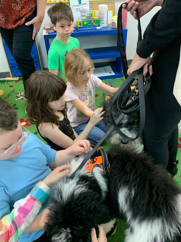 petting